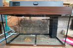 Juwel Aquarium Rio 125 L, Ophalen, Zo goed als nieuw