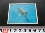 sticker panini WWF red de natuur #31 dolfijn, Ophalen, Zo goed als nieuw