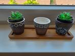 Leuke set van kleine potjes incl houten houder, Rond, Ophalen of Verzenden, Zo goed als nieuw, Minder dan 25 cm