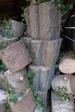 versgekapt acaciahout, Minder dan 3 m³, Ophalen, Blokken