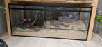 Terrarium 100x50x50, Minder dan 60 cm, Kooi, Ophalen of Verzenden, Zo goed als nieuw