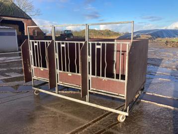 Kalverhokken Eenlingboxen beschikbaar voor biedingen