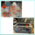 Hamsterkooi met heel veel buizen en nog meer extra’s, Dieren en Toebehoren, Kooi, Zo goed als nieuw, Hamster, 75 tot 110 cm