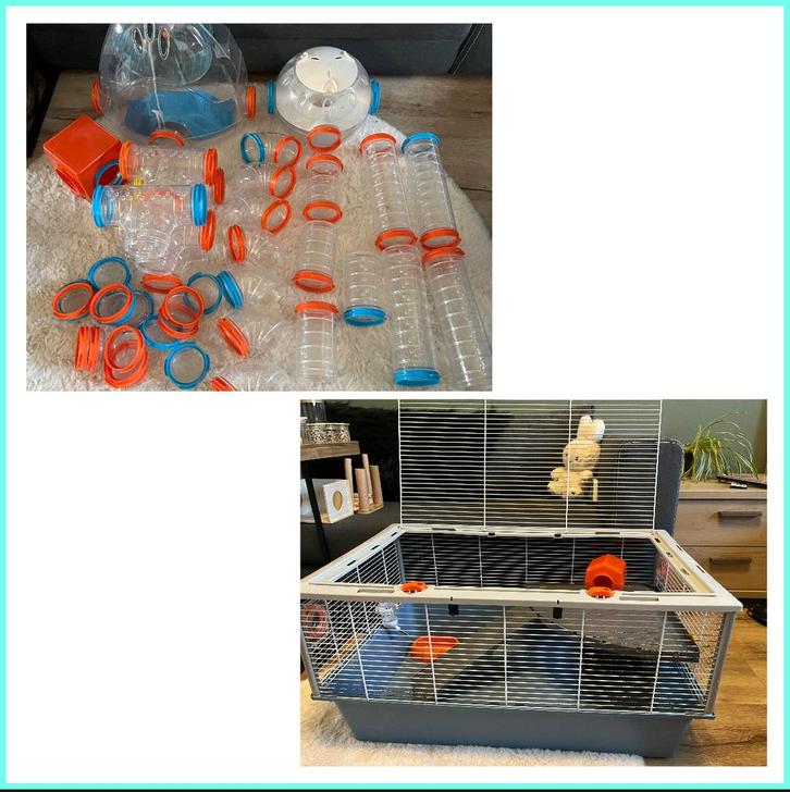 Hamsterkooi met heel veel buizen en nog meer extra’s, Dieren en Toebehoren, Knaagdieren en Konijnen | Hokken en Kooien, Zo goed als nieuw