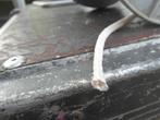 boot touw 5 mm, Ophalen of Verzenden, Nieuw, Onderhoud en Reparatie