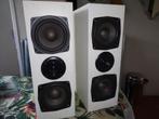 hifi luidsprekers, Audio, Tv en Foto, Luidsprekers, Gebruikt, 60 tot 120 watt, Front, Rear of Stereo speakers, Ophalen