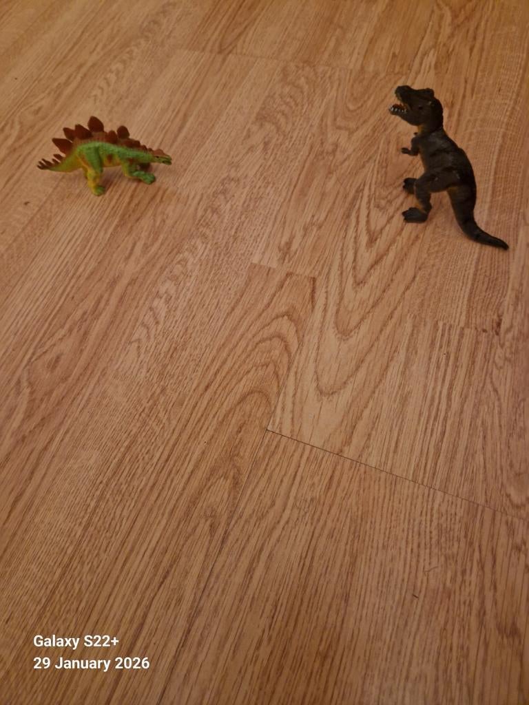 2 dinosaurs, Ophalen of Verzenden, Gebruikt
