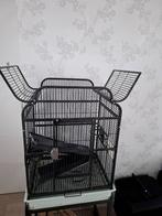 Vogelkooi, Dieren en Toebehoren, Ophalen, Zo goed als nieuw, Metaal, Vogelkooi
