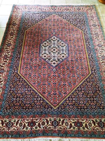 Perzisch handgeknoopt tapijt (Bidjar) Uit IRAN- 240 X 175 cm beschikbaar voor biedingen