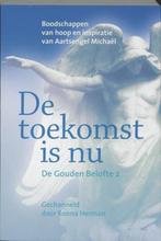 Ronna Herman De toekomst is nu, Boeken, Zo goed als nieuw, Verzenden