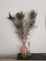Pauwenveren evt. Met roze vaas, Huis en Inrichting, Woonaccessoires | Droogbloemen, Ophalen of Verzenden, Zo goed als nieuw