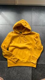 Superdry trui maat 36, Ophalen of Verzenden, Zo goed als nieuw, Geel