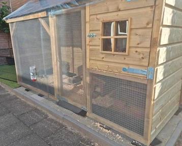 Nieuw groot top geimpregneerd houten konijnen, kippenhok etc beschikbaar voor biedingen