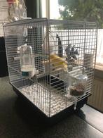 Te Koop ; Ferplast Vogelkooi Wit . Zo goed als nieuw., Dieren en Toebehoren, Mannelijk, Zangkanarie