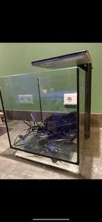 Aquarium qubiq 30 pro compleet, Dieren en Toebehoren, Vissen | Aquaria en Toebehoren, Ophalen of Verzenden, Zo goed als nieuw