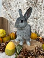 Lief koppeltje konijnen - gecastreerd mannetje met vrouwtje, Dieren en Toebehoren, Konijnen, Meerdere dieren, Hangoor