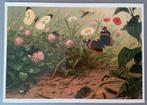 MA Koekkoek, Insekten, Verzamelen, Ansichtkaarten | Themakaarten, Ophalen of Verzenden, Natuur