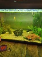 Aquarium, Ophalen, Gebruikt