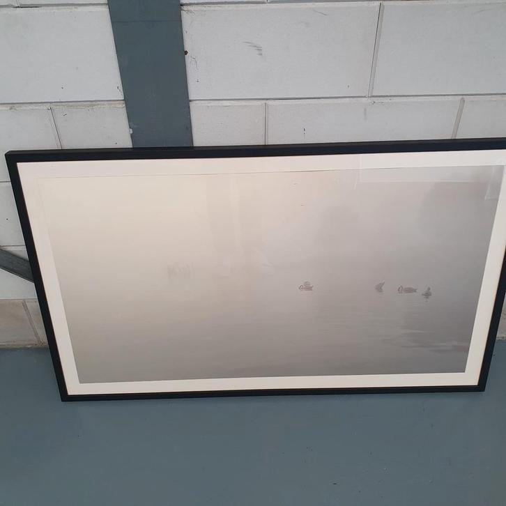 Ingelijste Print - Eenden op het Water, Huis en Inrichting, Woonaccessoires | Schilderijen, Tekeningen en Foto's, Ophalen