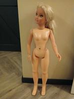 Grote barbiepop, Kinderen en Baby's, Speelgoed | Poppen, Ophalen, Overige typen