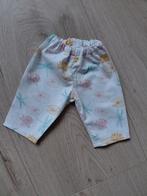 Broekje met libelles voor baby born pop, Ophalen of Verzenden, Nieuw, Babypop