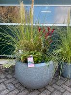 Grote potten/schalen met vaste planten, Ophalen, Steen, Minder dan 30 cm, Rond