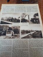 Artikel over Schiermonnikoog 1919, Ophalen of Verzenden, Voor 1920, Knipsel(s)
