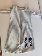 Jip en Janneke slaapzak Hema, Kinderen en Baby's, Dekens, Slaapzakjes en Inbakerproducten, Ophalen of Verzenden, Gebruikt, Minder dan 70 cm