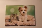 Katten Postkaart - Hond en Kitten samen onder een Deken, Verzamelen, Ansichtkaarten | Dieren, Ongelopen, Verzenden, 1980 tot heden