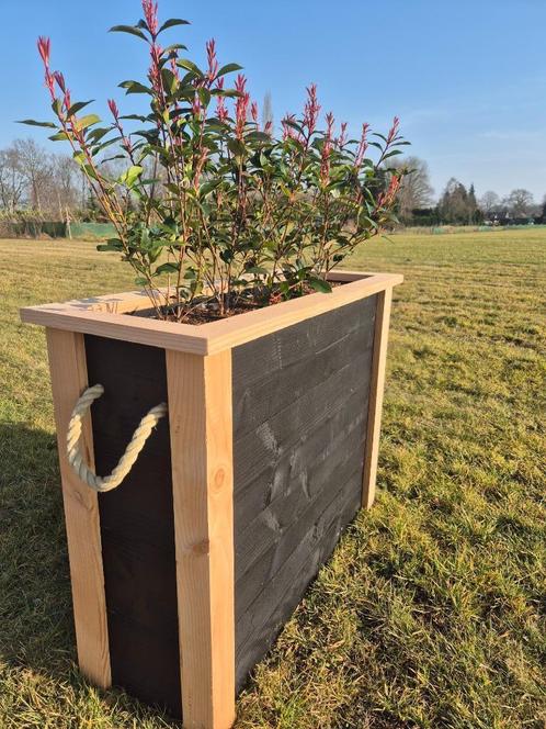 Plantenbak / Douglas / Handgemaakt, Tuin en Terras, Bloembakken en Plantenbakken, Nieuw, Hout, Binnen, Tuin, 60 cm of meer, 100 cm of meer