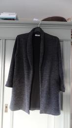 Donkergrijs openvallend vest/jasje, maat 46 van merk Skoll, Skoll, Verzenden, Maat 46/48 (XL) of groter, Zo goed als nieuw
