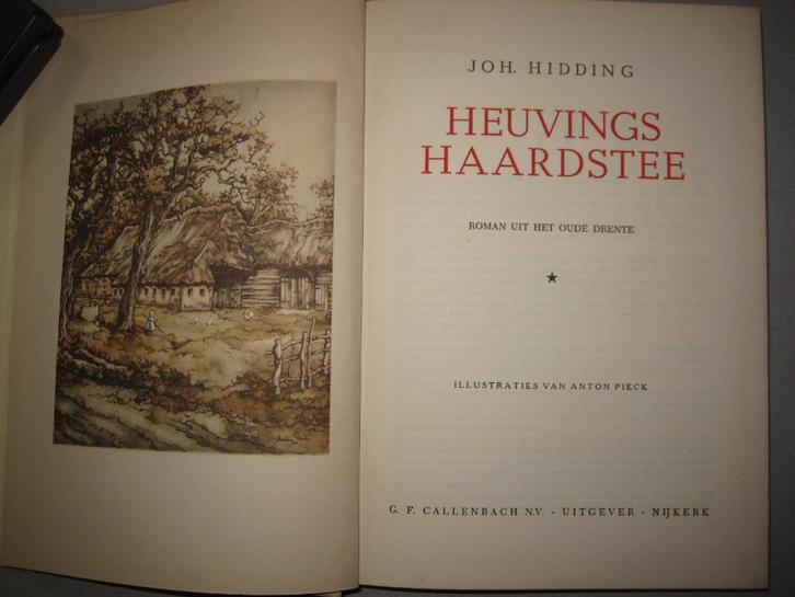 Heuvings Haardstee - Roman uit het oude drenthe, Boeken, Streekboeken en Streekromans, Zo goed als nieuw, Drenthe, Verzenden