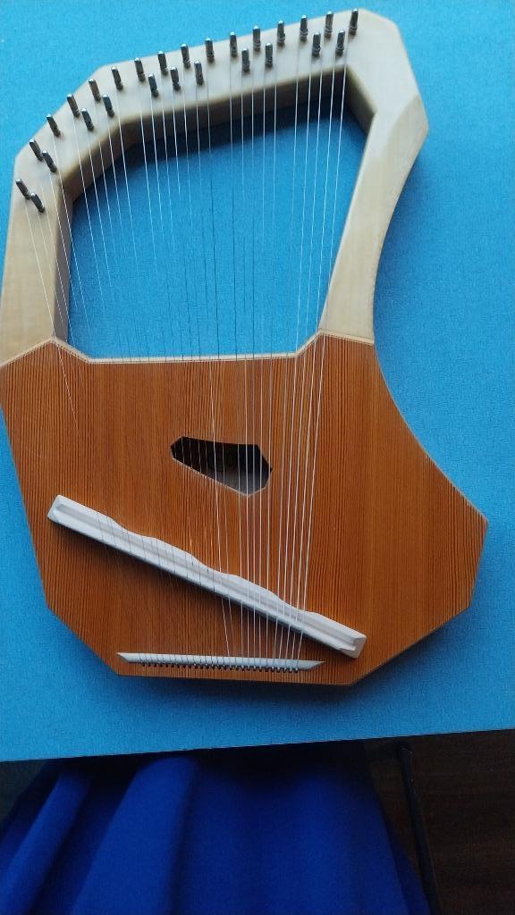 Lier, Muziek en Instrumenten, Snaarinstrumenten | Overige, Zo goed als nieuw, Overige typen, Ophalen