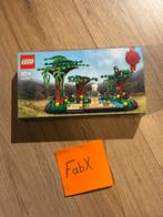 Lego 40530 Jane Goodall - nieuw in doos, Kinderen en Baby's, Speelgoed | Duplo en Lego, Ophalen of Verzenden, Nieuw, Complete set