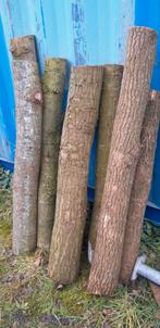 Verse eiken stammetjes voor paddenstoelen, Minder dan 3 m³, Ophalen