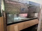 Grote aquarium, Dieren en Toebehoren, Ophalen, Gebruikt