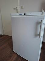 Koelkast - Liebherr, 85 tot 120 cm, Gebruikt, 100 tot 150 liter, Ophalen of Verzenden