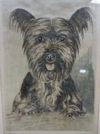 Yorkshire Terrier erts , op satijn in mooie lijst, Antiek en Kunst, Kunst | Litho's en Zeefdrukken