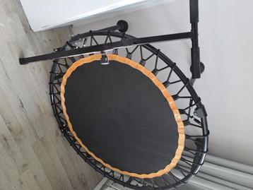 Trampoline met verwijderbaare hou vast beschikbaar voor biedingen