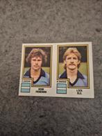 Panini sticker Voetbal 83. Pieneman/Bijl De Graafschap., Verzenden, Zo goed als nieuw, Sticker