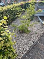 Grind, Tuin en Terras, Grind, Keien en Split, Ophalen, Overige materialen, Gebruikt, Grind