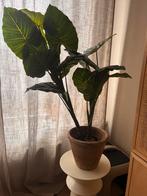 Kunst plant, Huis en Inrichting, Kamerplanten, Ophalen, Halfschaduw, Minder dan 100 cm