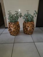 Gave leeuwen koppen goud, Nieuw, Overige vormen, Aardewerk, Tuin