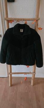 Donker groene Teddy Jas - America Today XS, Zwart, Ophalen of Verzenden, Zo goed als nieuw, Maat 34 (XS) of kleiner