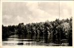 Biesbosch, Ophalen of Verzenden, 1940 tot 1960, Gelopen, Noord-Brabant