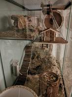 Gerbil Terrarium 60x40x100 – Uitgebreid Speelverblijf, Ophalen of Verzenden, 90 cm of meer, Hok, Hamster
