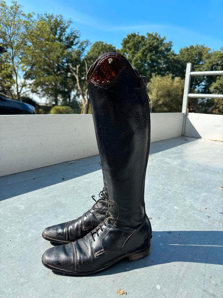 Petrie rijlaarzen, Dieren en Toebehoren, Paardrijkleding, Schoeisel, Dressuur, Ophalen