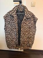 Bodywarmer, Ophalen of Verzenden, Zo goed als nieuw, Maat 42/44 (L), Overige kleuren