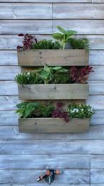 Verticale tuin, Ophalen of Verzenden, Zo goed als nieuw, Rechthoekig, Tuin