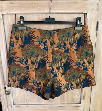 Studio Amaya Short - Luna Collectie beschikbaar voor biedingen